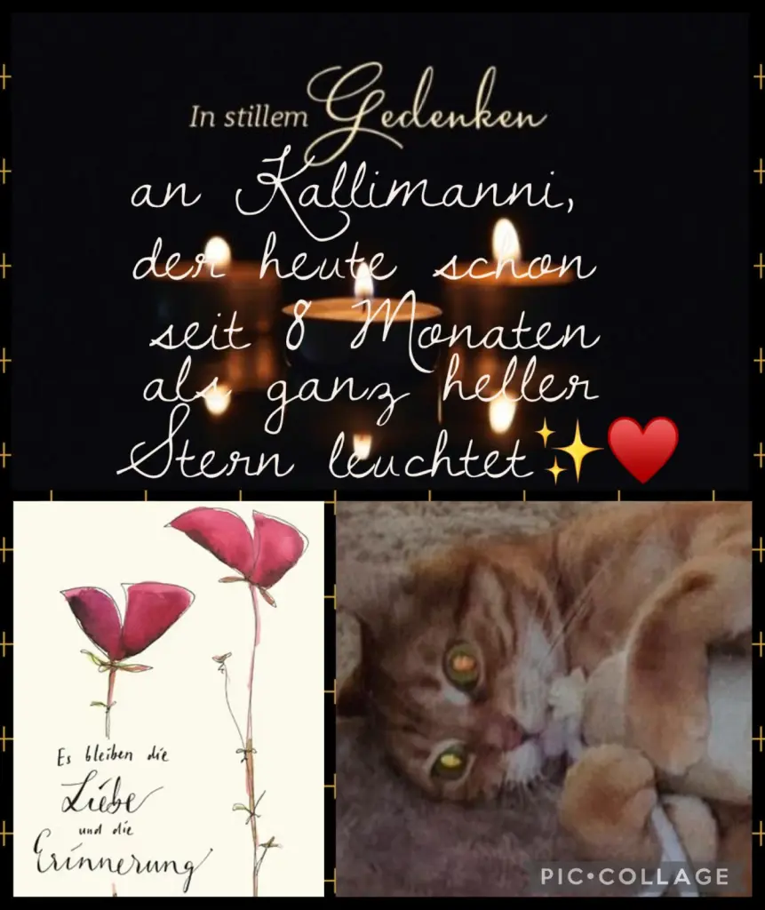 Andachtsbild von ❤️8 Mo❤️39 Wo❤️Deine Mutti und deine Oma ❤️ 