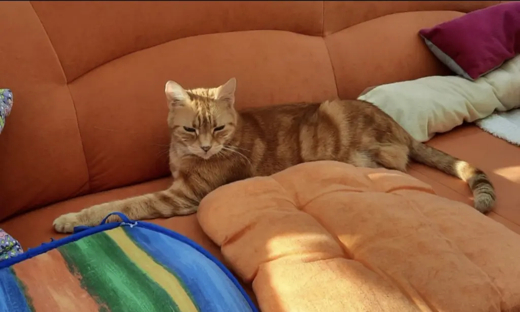 Andachtsbild von ❤️9 Mo❤️39 Wo❤️Deine Mutti und deine Oma ❤️ 