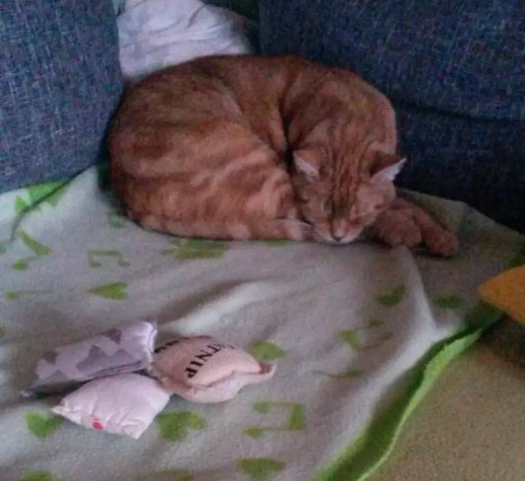 Andachtsbild von ❤️40 Wo❤️Deine Mutti und deine Oma ❤️ 