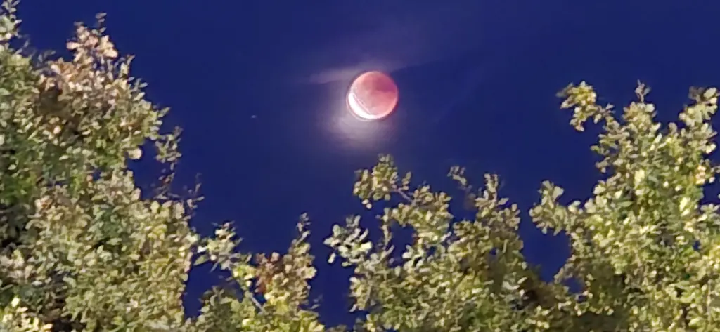 Andachtsbild von ❤️41 Wo❤️Deine Mutti und deine Oma ❤️ 