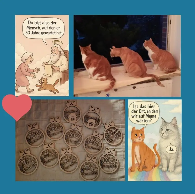 Andachtsbild von Ein Sonntagsröschenstrauß für Kalle