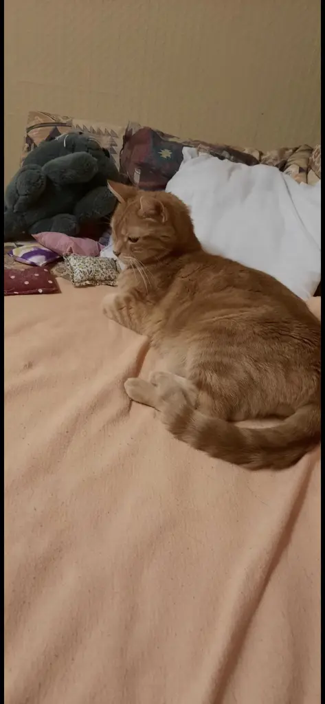 Andachtsbild von ❤️43 Wo❤️Deine Mutti und deine Oma❤️