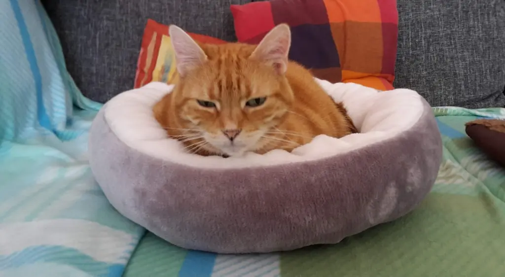 Andachtsbild von ❤️44 Wo❤️deine Mutti und deine Oma ❤️