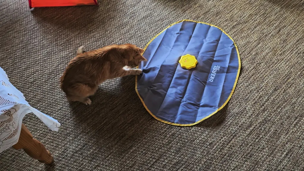 Andachtsbild von ❤️46 Wo❤️Deine Mutti und deine Oma ❤️