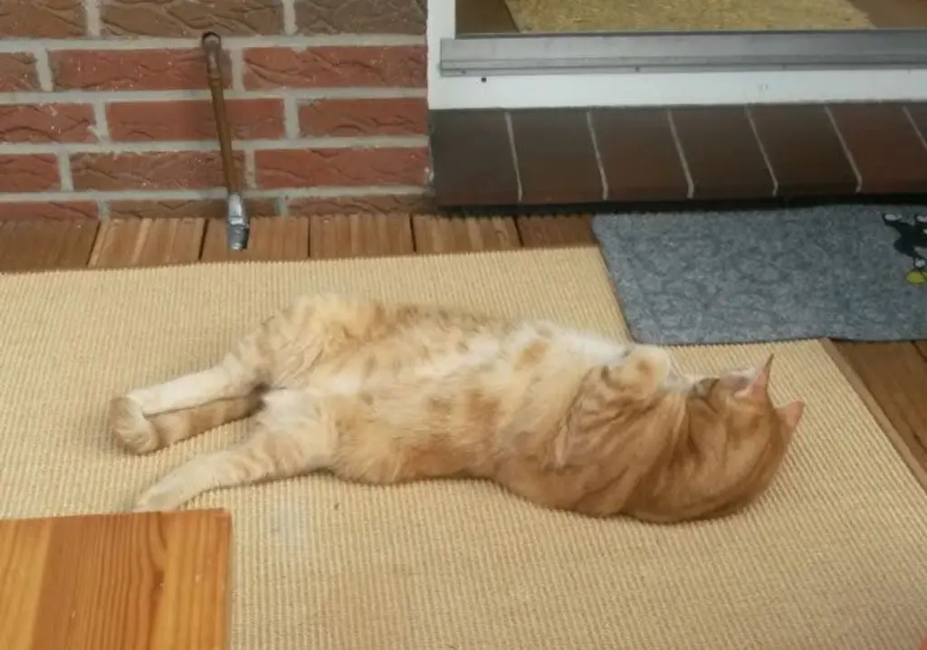 Andachtsbild von ❤️47 Wo❤️Deine Mutti und deine Oma ❤️