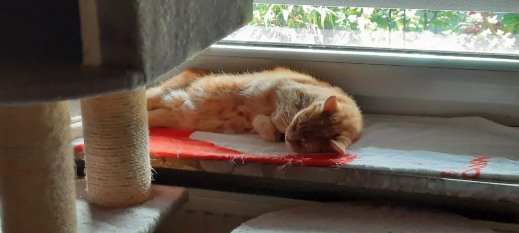 Andachtsbild von ❤️49 Wo❤️Deine Mutti und deine Oma ❤️