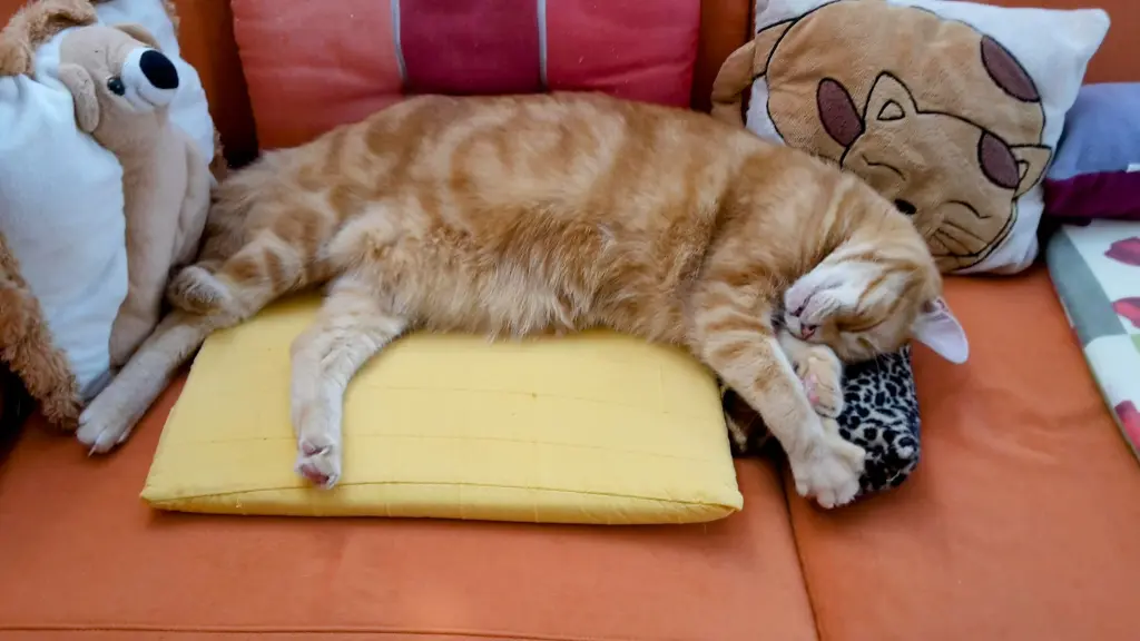 Andachtsbild von ❤️Mutti und Oma ❤️