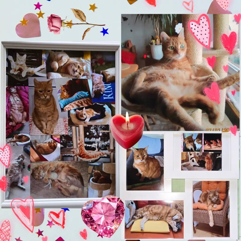 Andachtsbild von ❤️52 Wo❤️Heute vor einem Jahr😢