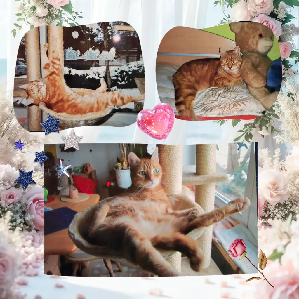 Andachtsbild von ❤️1. Sternchengeburtstag ❤️ Deine Mutti und deine Oma ❤️