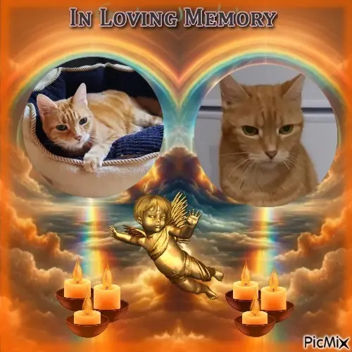 Andachtsbild von ❤️❤️❤️❤️❤️❤️❤️❤️❤️❤️❤️