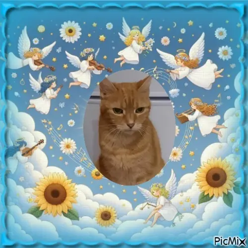 Andachtsbild von ❤️❤️❤️❤️❤️❤️❤️❤️❤️❤️❤️