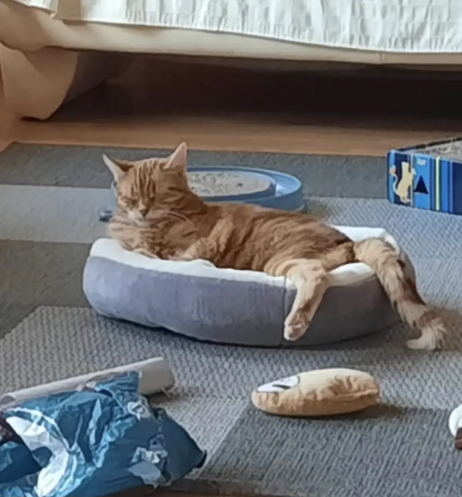 Andachtsbild von ❤️53 Wo❤️Deine Mutti und deine Oma ❤️