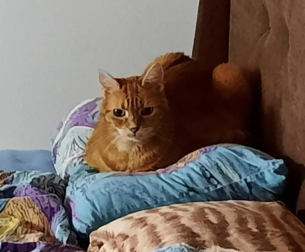 Andachtsbild von ❤️54 Wo❤️Deine Mutti und deine Oma ❤️