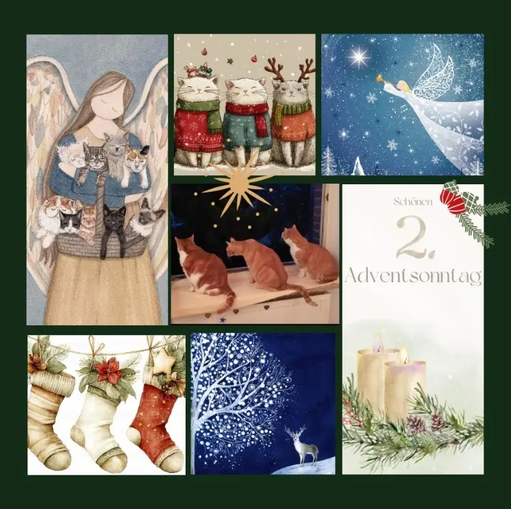 Andachtsbild von Rosen zum 2. Advent