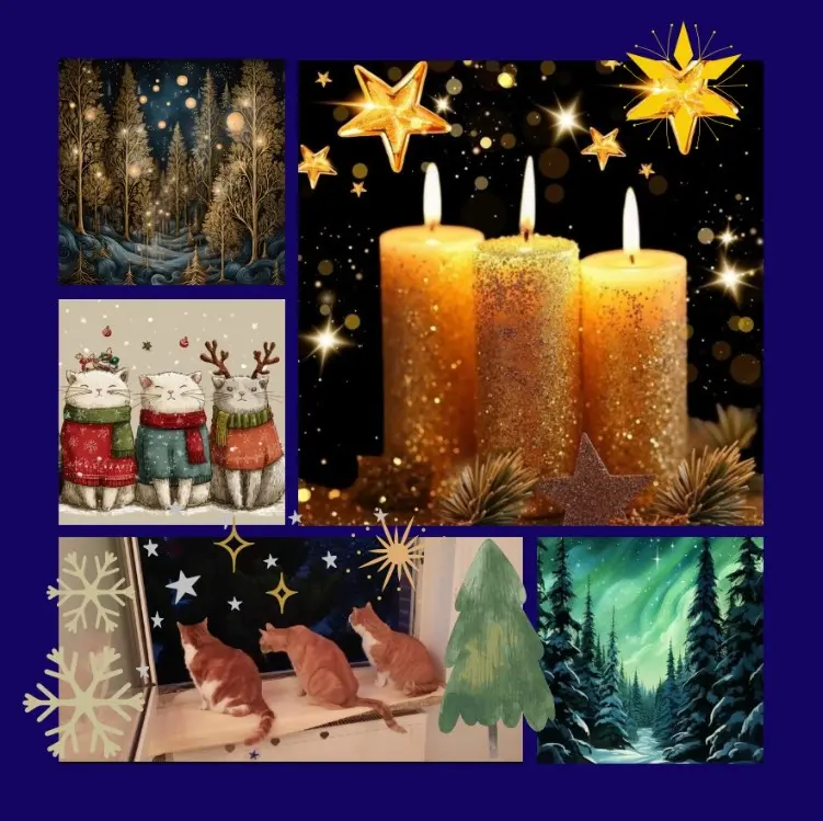 Andachtsbild von Sternenrosen zum 3. Advent