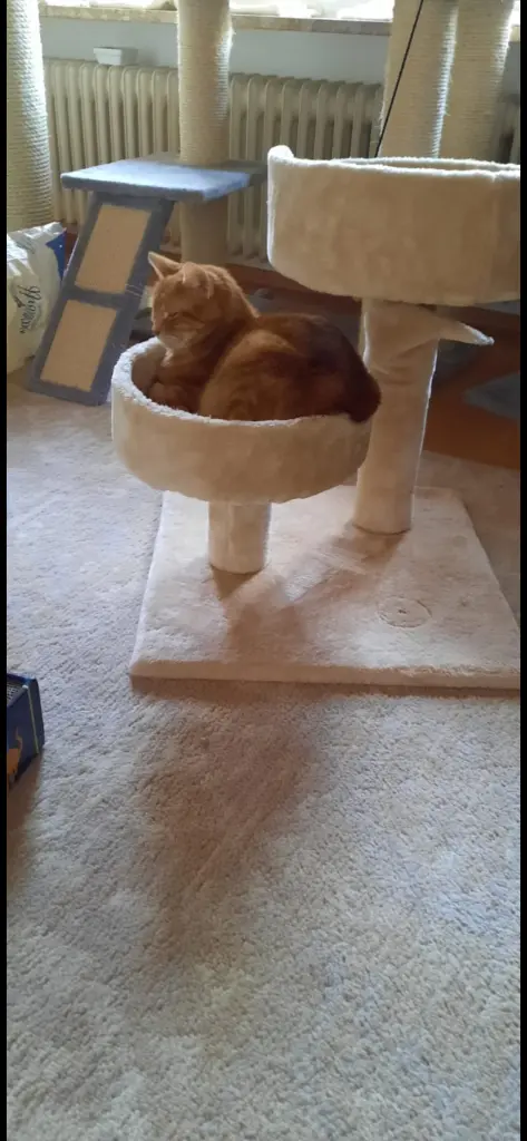 Condolence image of ❤️57 Wo❤️Deine Mutti und deine Oma ❤️