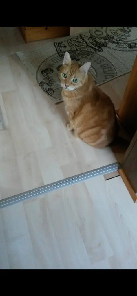 Condolence image of ❤️58 Wo❤️Deine Mutti und deine Oma ❤️