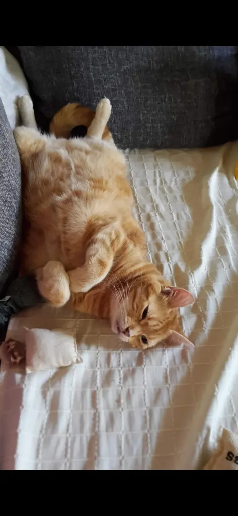 Condolence image of ❤️59 Wo❤️Deune Mutti und deine Oma ❤️