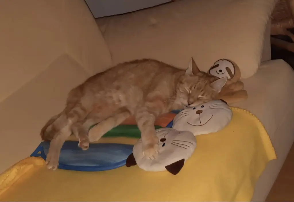 Condolence image of ❤️14 Mo❤️Deine Mutti und deine Oma ❤️