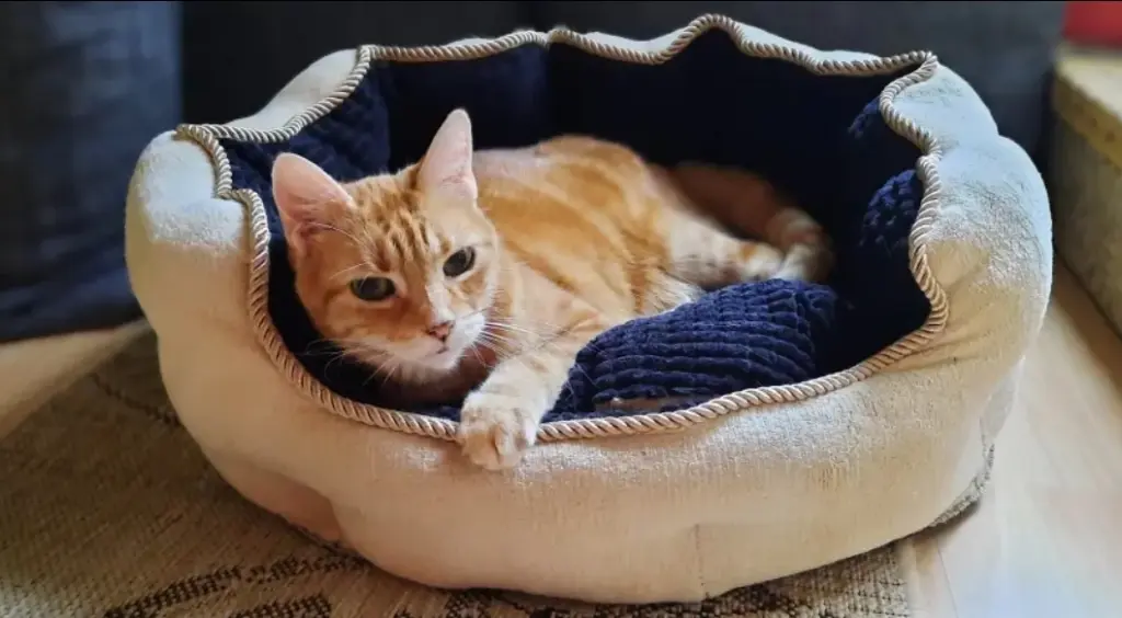 Condolence image of ❤️61 Wo❤️Deine Mutti und deine Oma ❤️