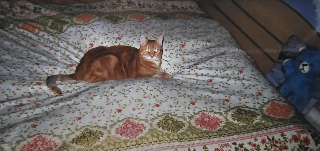 Condolence image of ❤️62 Wo❤️Deine Mutti und deine Oma ❤️