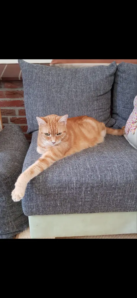 Condolence image of ❤️63 Wo❤️Deine Mutti und deine Oma❤️