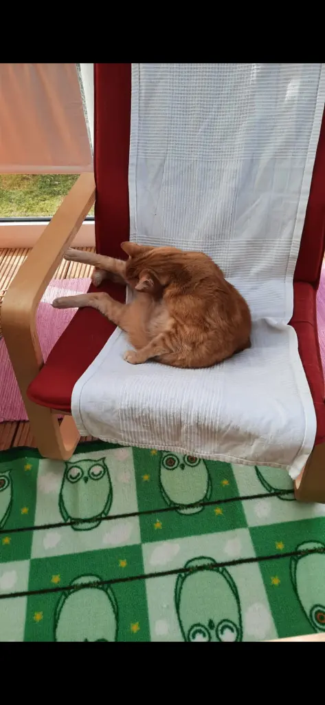 Condolence image of ❤️64 Wo❤️Deine Mutti und deine Oma ❤️