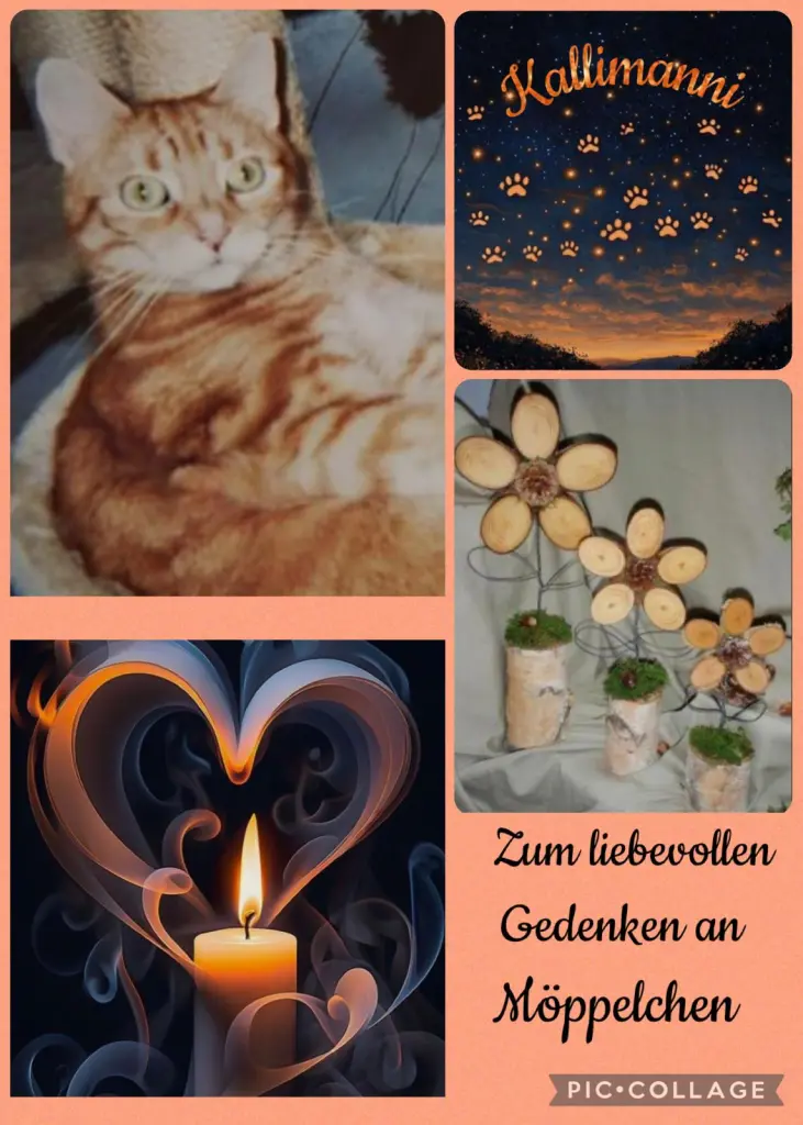 Condolence image of ❤️15 Mo❤️Deine Mutti und deine Oma ❤️