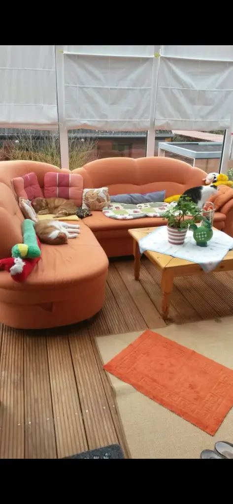 Condolence image of ❤️66 Wo❤️Deine Mutti und deine Oma ❤️