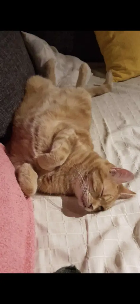 Condolence image of ❤️68 Wo❤️Deine Mutti und deine Oma ❤️