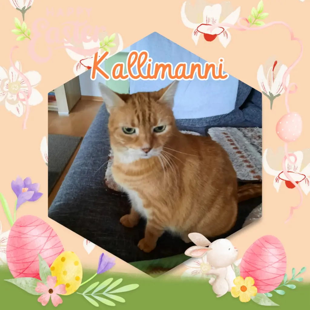 Condolence image of 💐Frohe Ostern 💐 Kallimanni ❤️
