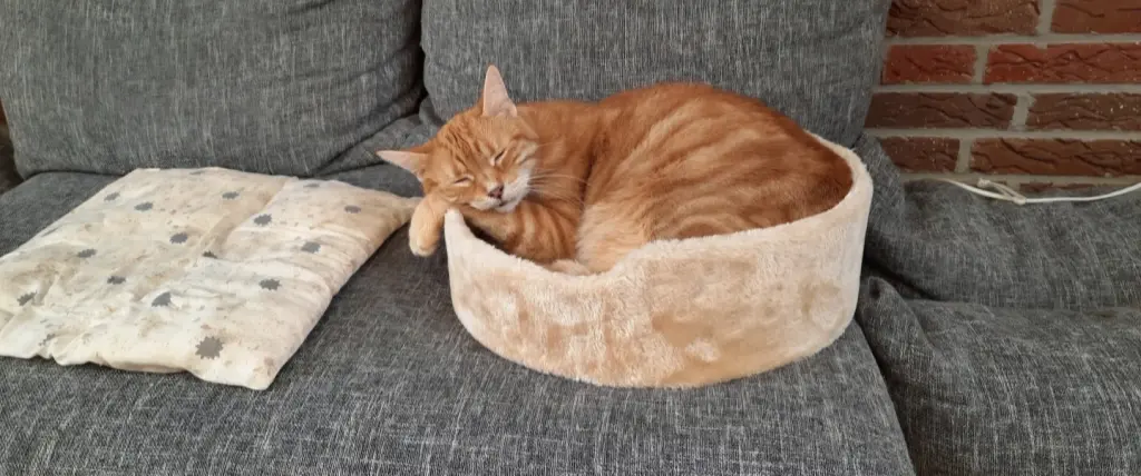 Condolence image of ❤️71 Wo❤️Deine Mutti und deine Oma ❤️