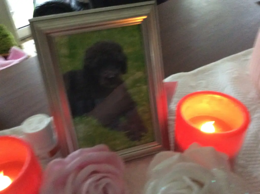 Condolence image of Heidi 