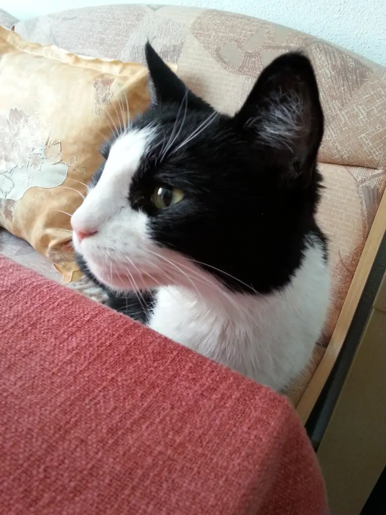 Condolence image of Peter und Marina mit Whisky Gestorben am 25.11.2017