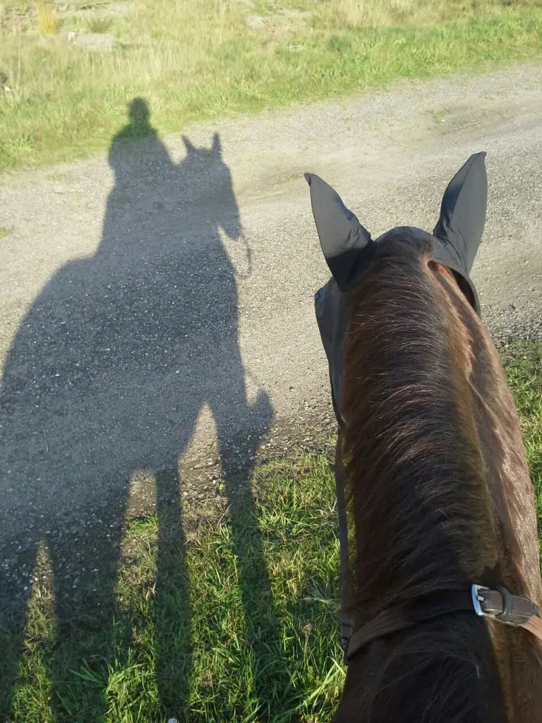 Andachtsbild von Annette und Luki