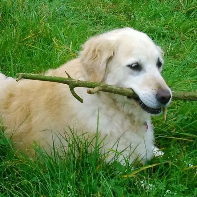 Condolence image of Kerstin Richter