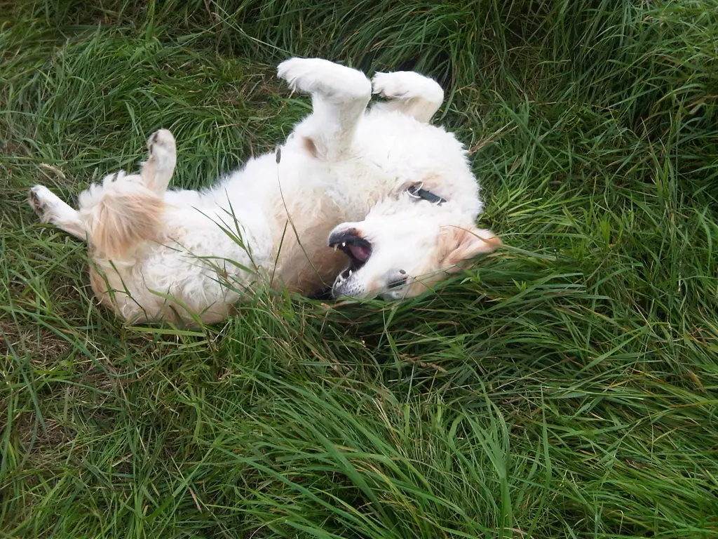 Condolence image of Gerd und Manu