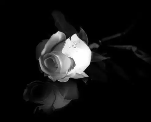 Condolence image of Unbekannt
