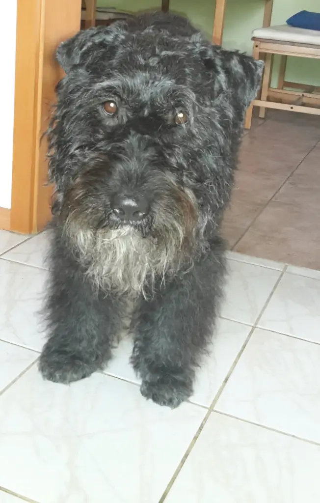 Bild von Noelle