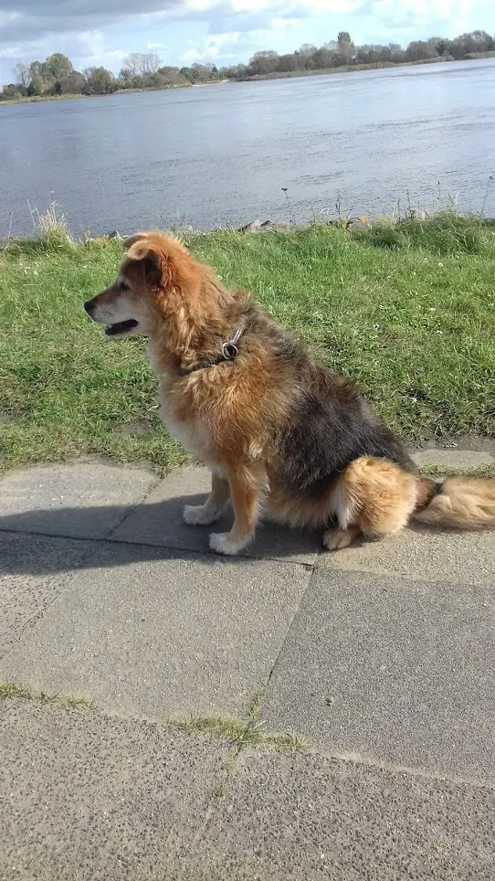 Image from Pätty