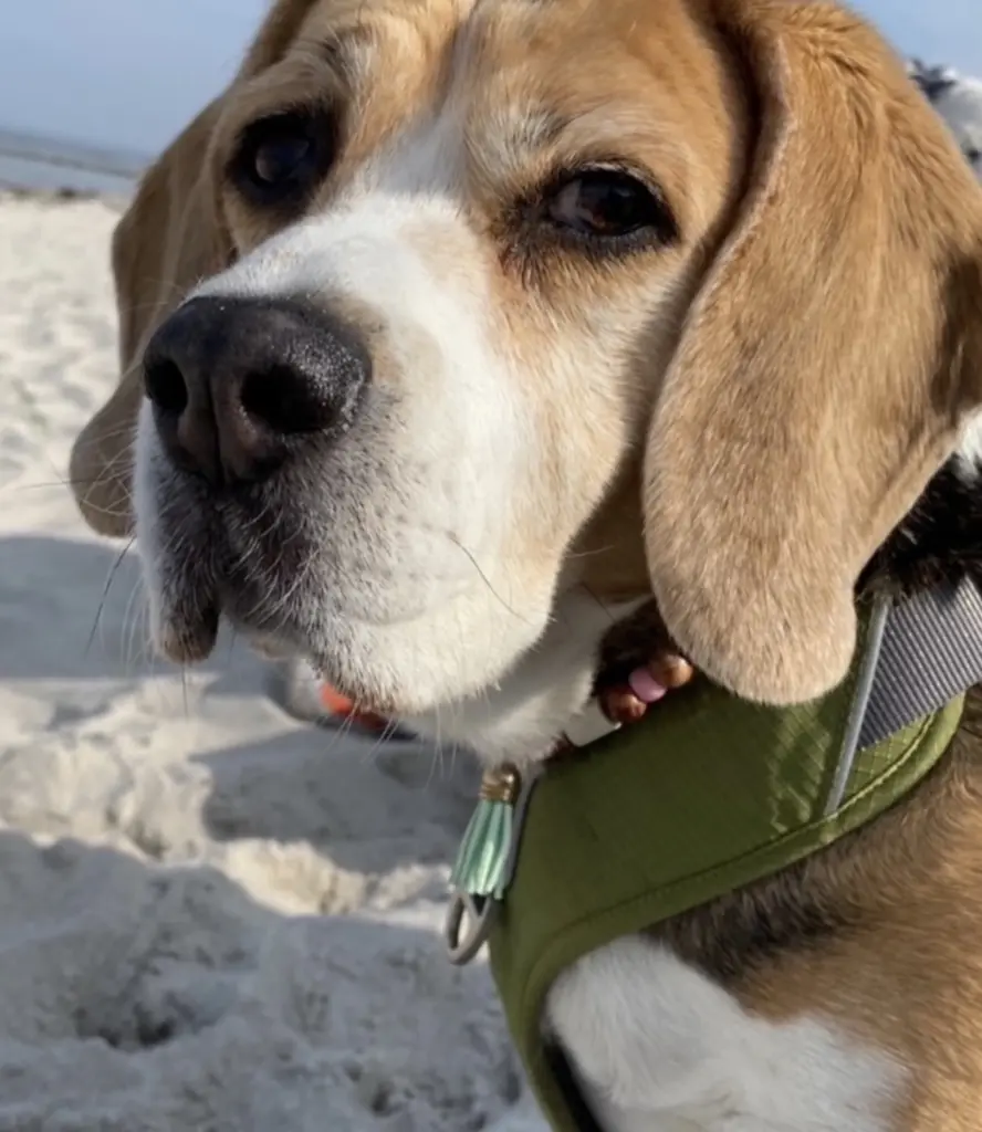 Andachtsbild von Wenke mit Lilli ❤️im❤️