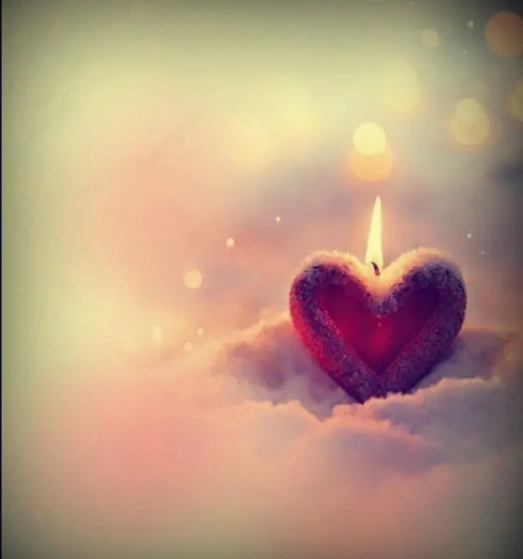 Andachtsbild von Martina mit Seelenhund Samy ♥️⭐♥️ für immer im Herzen