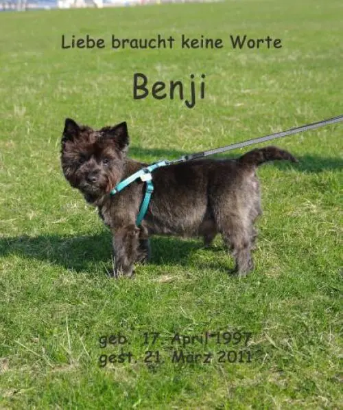 Image from Benji