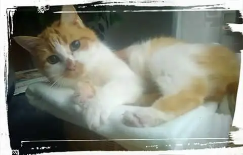 Condolence image of Martina 