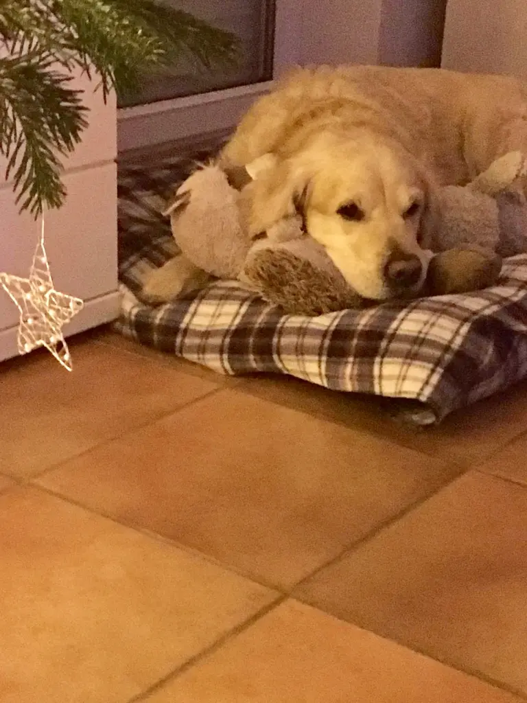 Andachtsbild von Andy und Piet ❤️