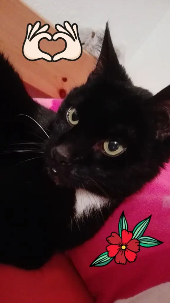 Condolence image of Kristin