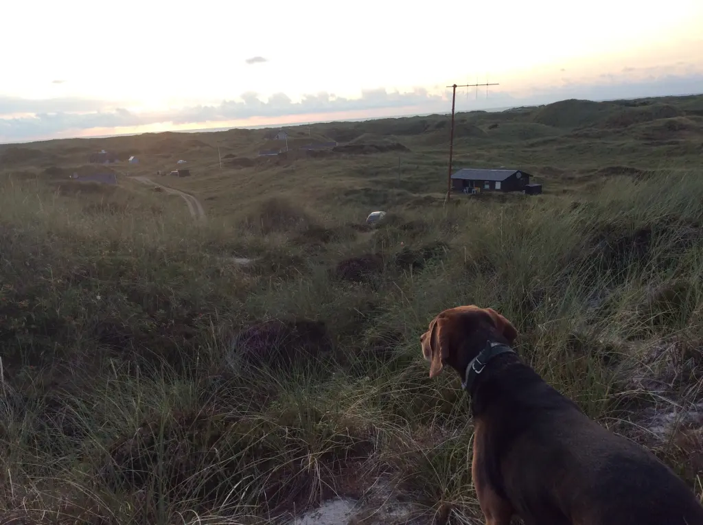 Condolence image of Unbekannt