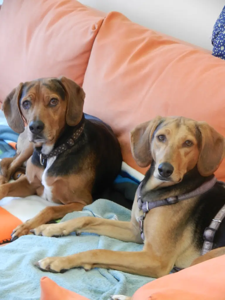 Condolence image of Sonja