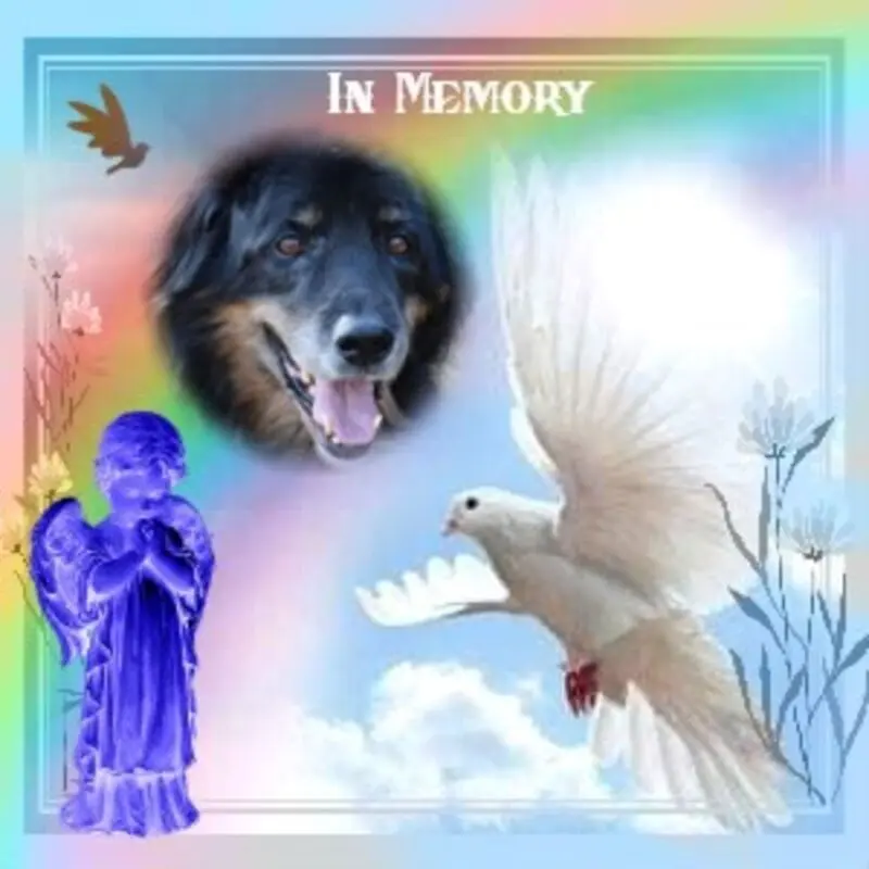 Condolence image of Iris mit Herzchen, Finja und Dagon im Herzen