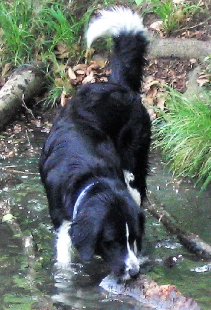 Condolence image of Bettina